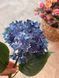 Штучна гортензія з латексу синьо-фіолетова 0595 фото 3